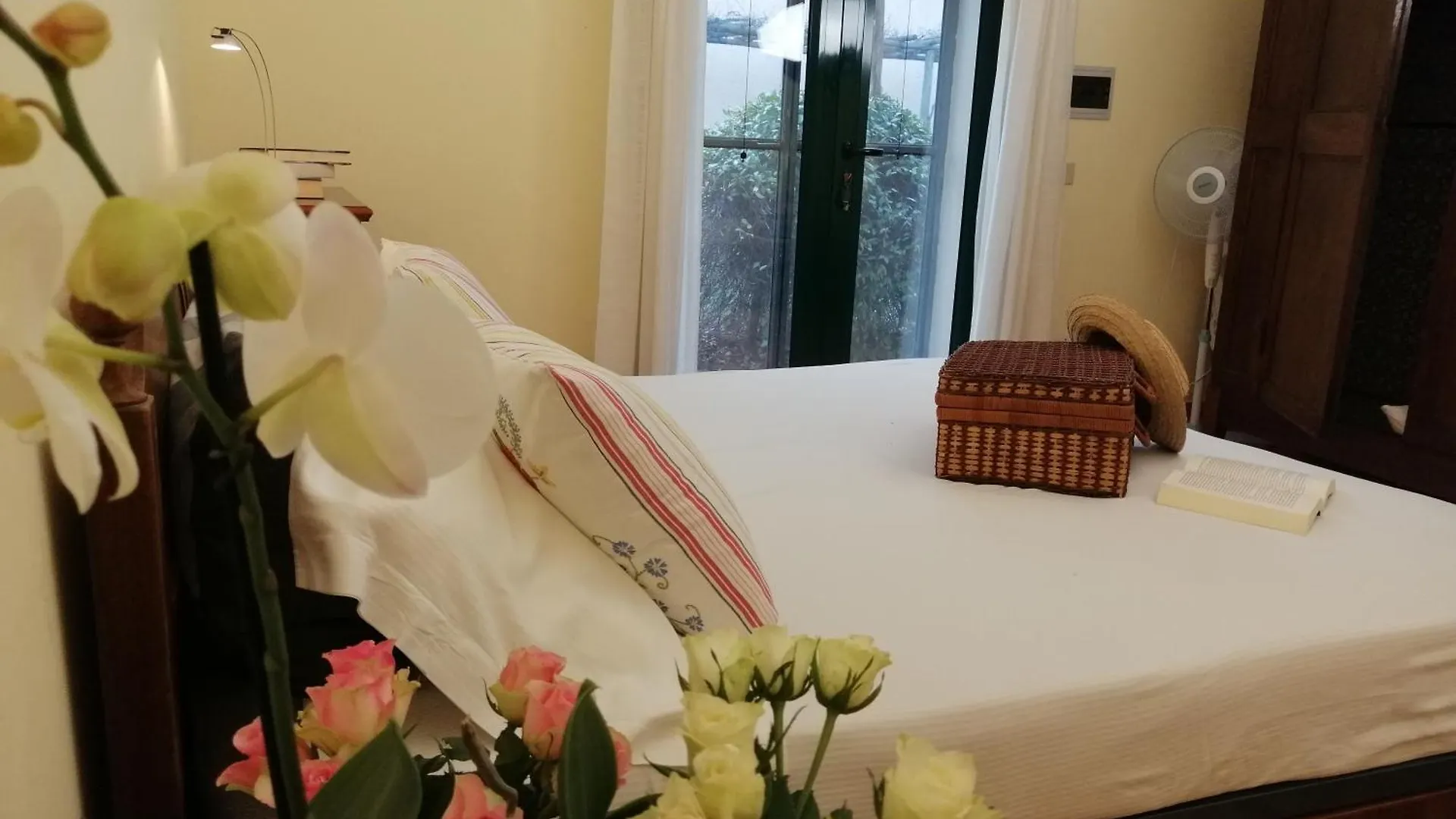 Bb Villa Bolgheri Mare Donoratico Bed & Breakfast