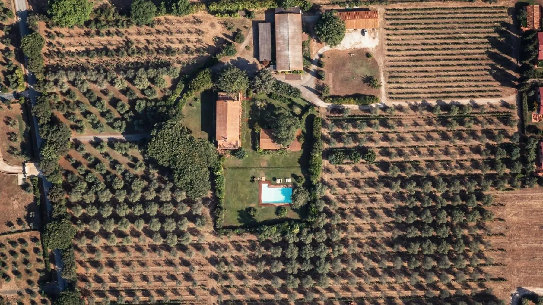 Bb Villa Bolgheri Mare Donoratico Bed & Breakfast